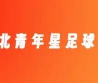 开云体育app-官方：聂傲双、唐鑫、郭毅、陈佳奇、李彪加盟湖北青年星