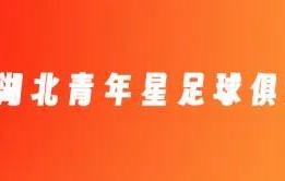 开云体育app-官方：聂傲双、唐鑫、郭毅、陈佳奇、李彪加盟湖北青年星